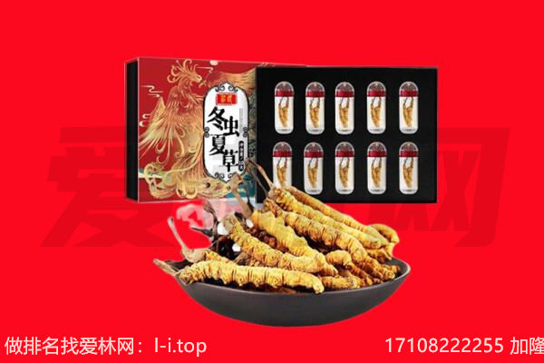 绍兴上虞区回收虫草.jpg